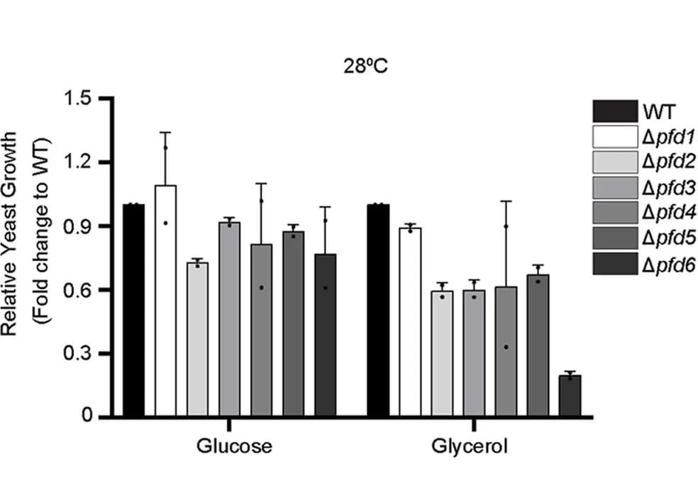 Open access visualization of Bar Plot, Error Bars, Clustered, Spot Test, Quantification