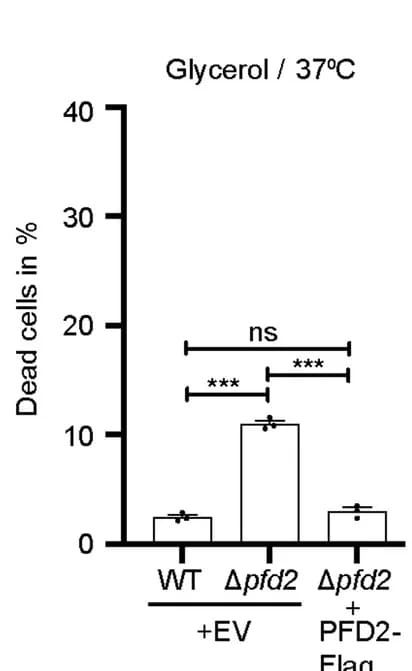 Open access visualization of Bar Plot, Error Bars, Yeast Cells, Glycerol, Glucose