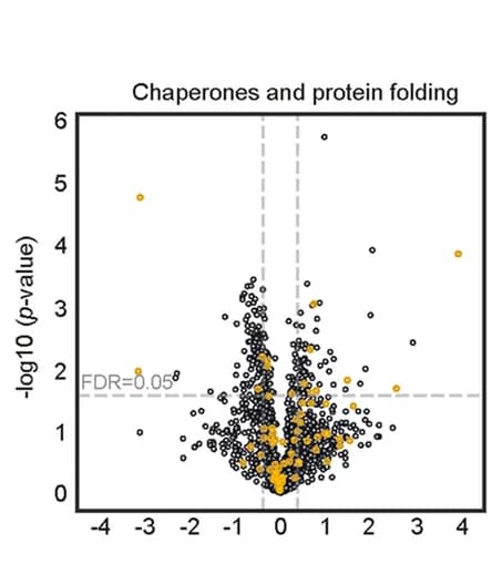 Open access visualization of Volcano Plot, Chaperones, Protein Folding, Proteins