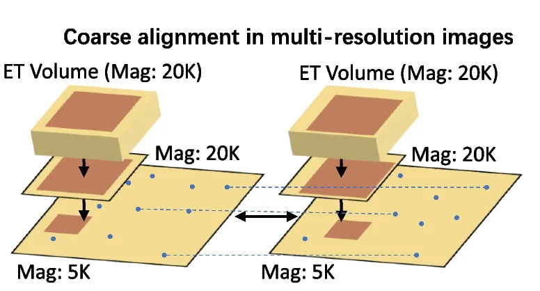 Open access visualization of Illustration, Workflow, Image Alignment, Multi-Resolution Images, Feature Point-based Approach