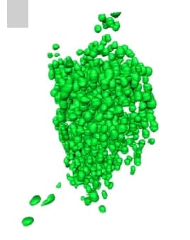 Open access visualization of 3D Plot, Vesicle, Segmentation