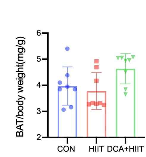 Open access visualization of Bar Plot, Scatter Plot, Error Bars, BAT, Body Weight