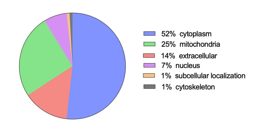 Open access visualization of Pie Chart, Subcellular Localization, Lysine Lactylated Proteins