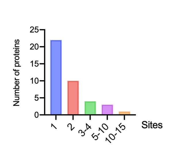 Open access visualization of Bar Plot, Lysine Lactylation Sites, Proteins, Upregulated, Downregulated