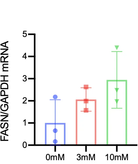 Open access visualization of Bar Plot, Error Bars, FASN mRNA, 3T3-L1 Cells