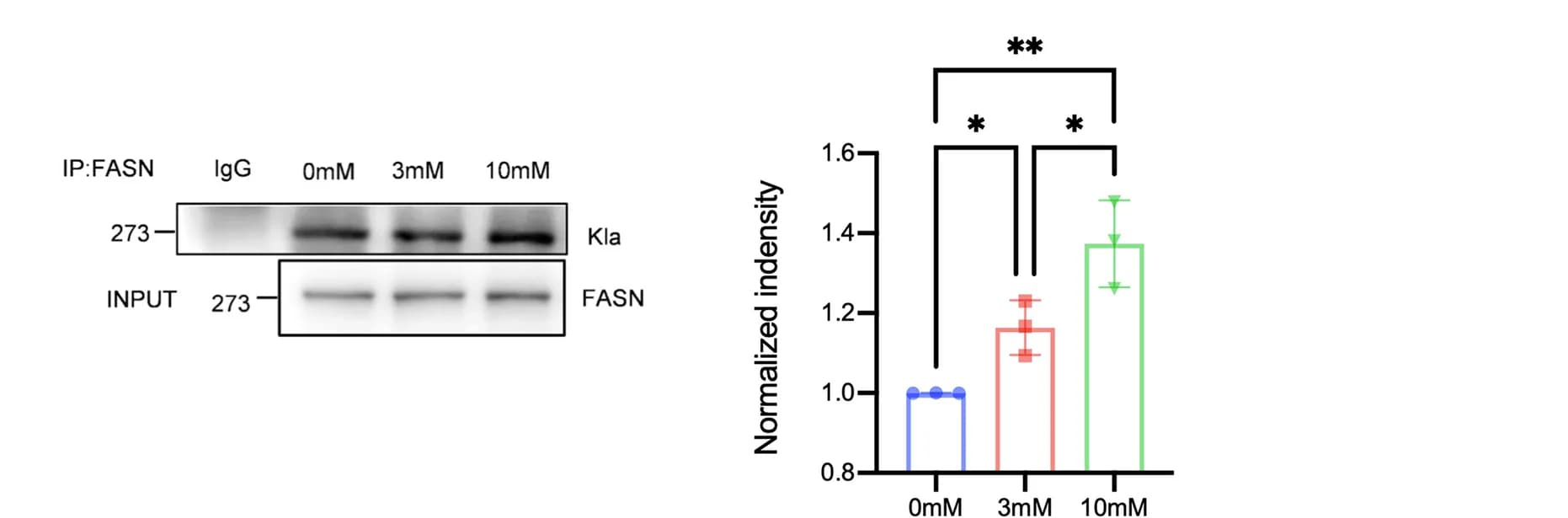 Open access visualization of Bar Plot, Error Bars, FASN, 3T3-L1 Cells, FASN Antibody