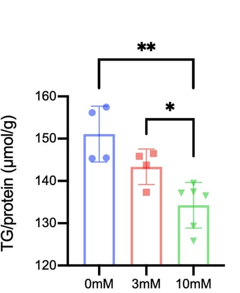Open access visualization of Bar Plot, Error Bars, Triglyceride Levels, 3T3-L1 Cells