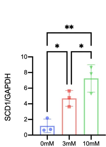 Open access visualization of Bar Plot, Error Bars, Marker Gene, De Novo Lipogenesis