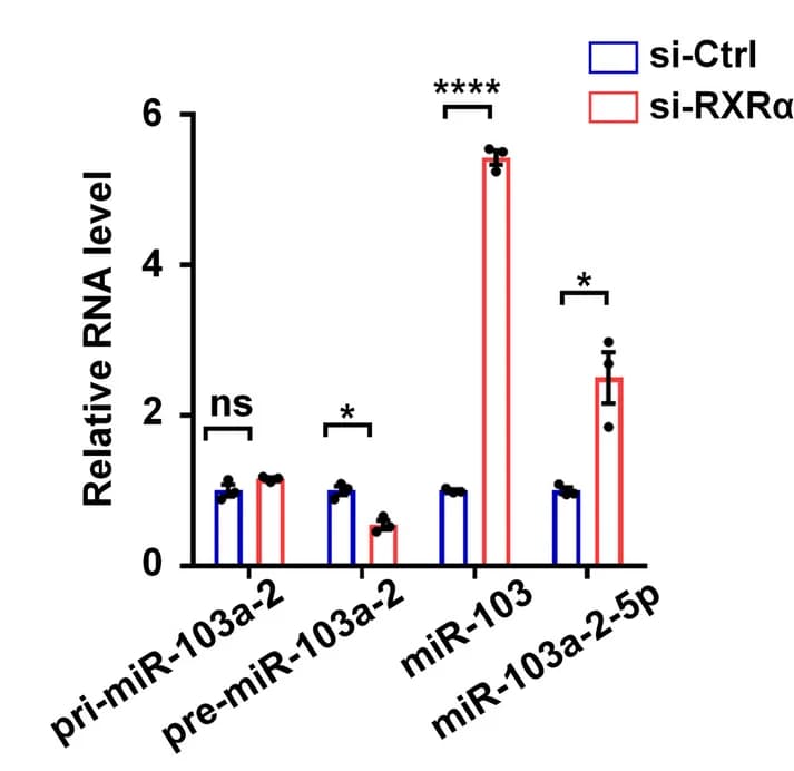Open access visualization of Bar Plot, Error Bars, Clustered, MDA-MB-231 Cells, Transfection