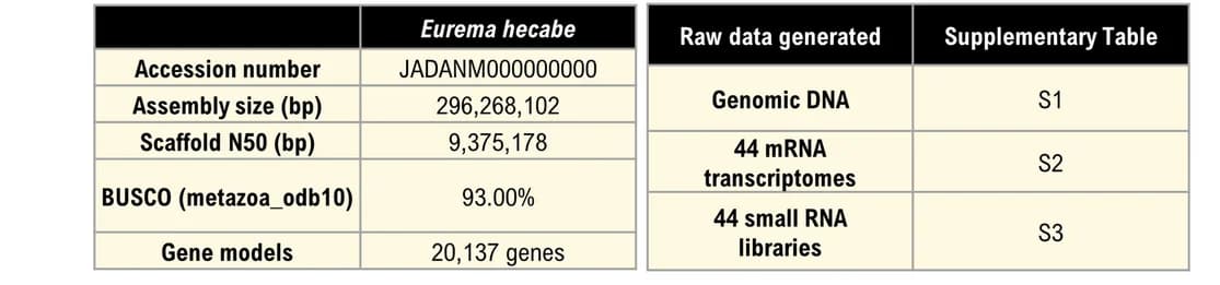 Open access visualization of Table Image, Genome statistics, Resources