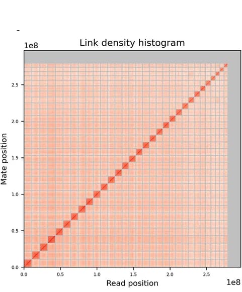 Open access visualization of Heatmap, Link density, Histogram, Genome