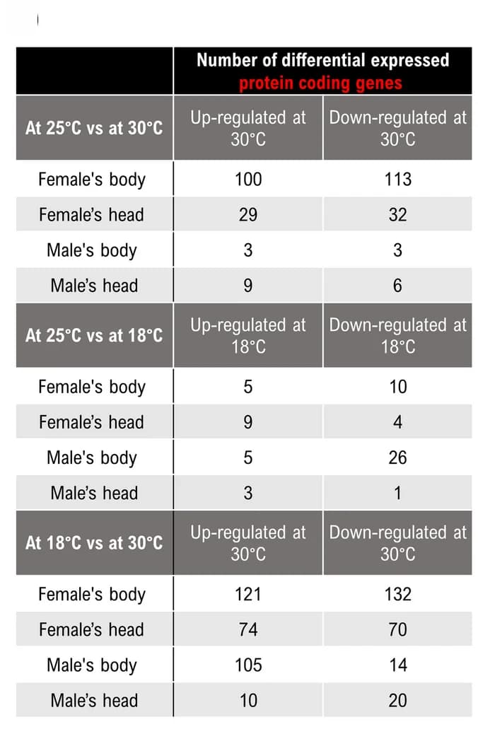 Open access visualization of Table Image, Differentially expressed genes, Protein-coding genes, Tissues, Sexes