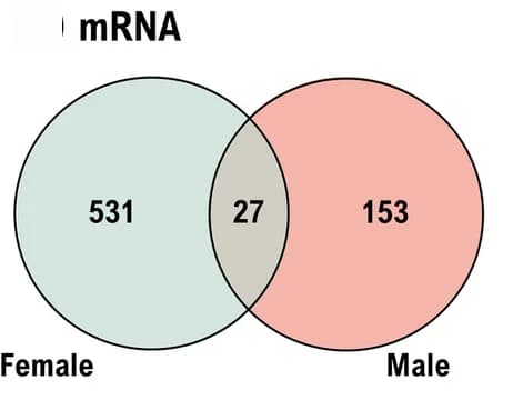Open access visualization of Venn Diagram, Differentially Expressed Genes, Protein-Coding Genes, Sex, Temperature