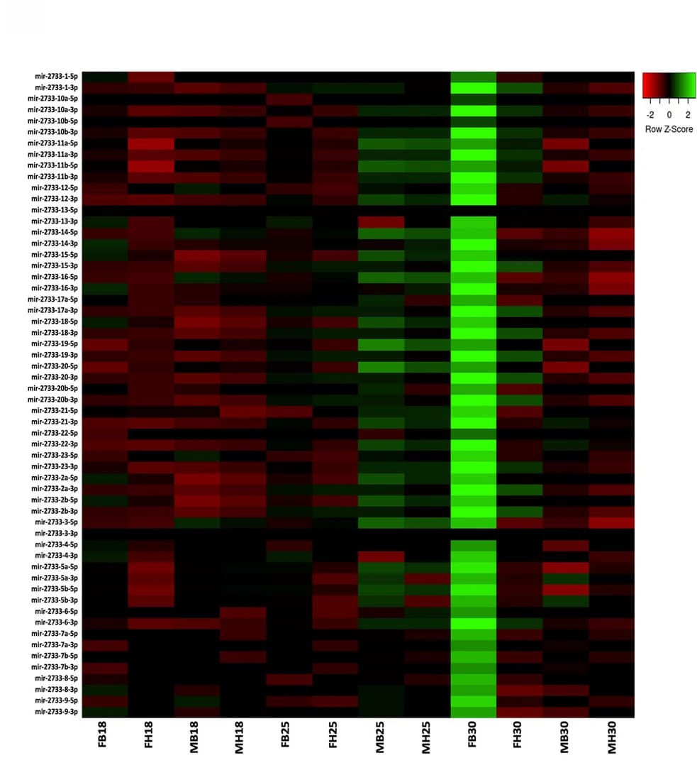 Open access visualization of Heatmap, Gene Expression, miR-2733 cluster, Female, Male