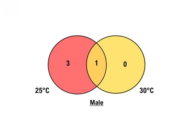 Open access visualization of Venn Diagram, Male-Biased Genes, Temperature Treatments