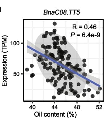 Open access visualization of Scatter Plot, Regression Plot, Correlation, Gene Expression, Oil Content