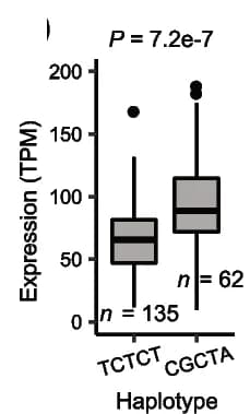 Open access visualization of Box Plot, Box Plots, Gene Expression, Haplotypes