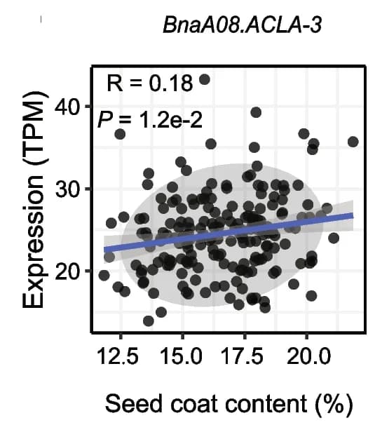 Open access visualization of Scatter Plot, Regression Plot, Gene expression, Seed coat content, Correlation