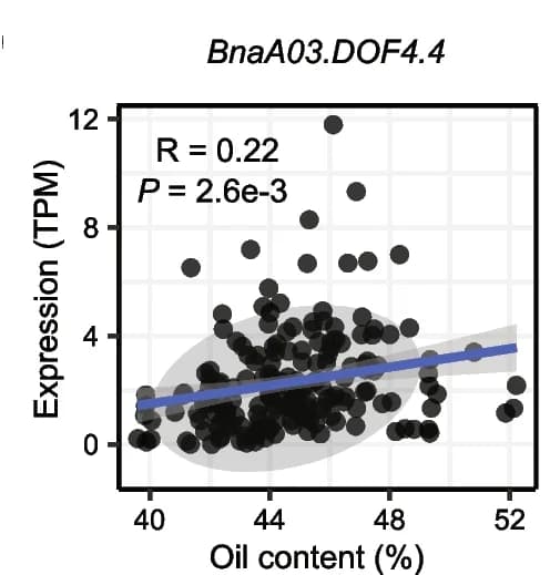 Open access visualization of Scatter Plot, Regression Plot, Expression, Oil Content, TPM