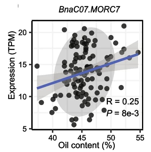 Open access visualization of Scatter Plot, Regression Plot, Expression, Oil content, BnaC07.MORC7
