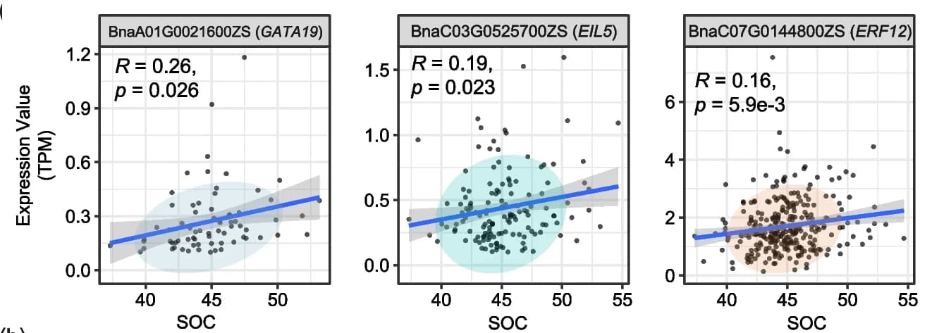 Open access visualization of Scatter Plot, Regression Plot, Transcription Factors, GATA19, EIL5