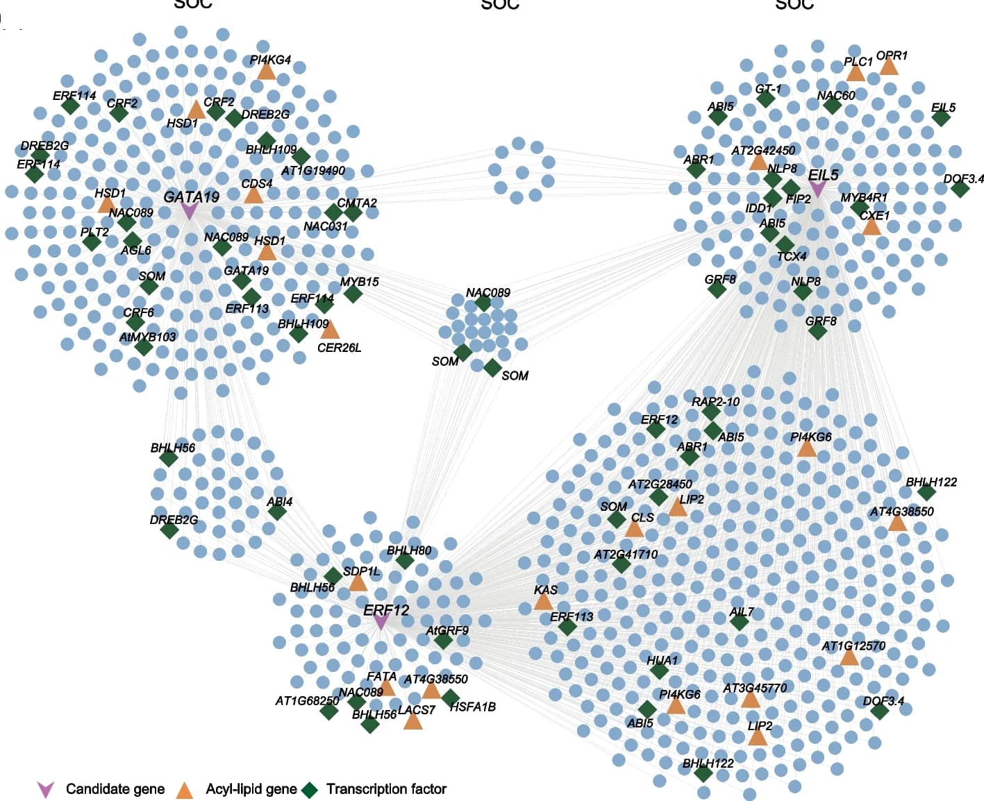 Open access visualization of Network, Pathway, Genes, Network Hubs, GATA19