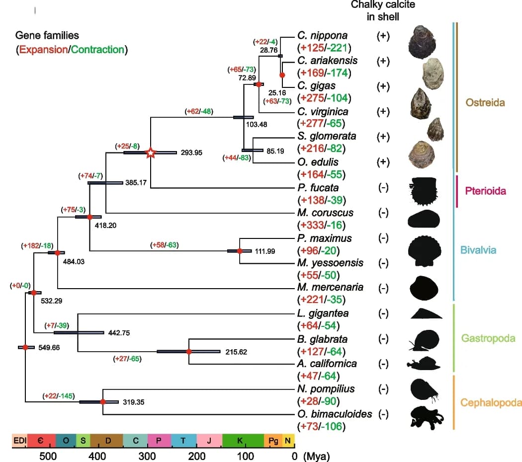 Open access visualization of Scatter Plot, Manhattan Plot, Forest Plot, Line Plot, Phylogenetic Tree