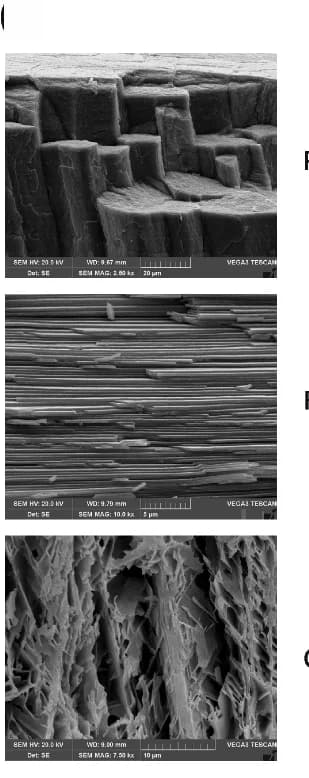 Open access visualization of Microscopy, SEM micrographs, Prismatic layer, Foliated layer, Chalky layer
