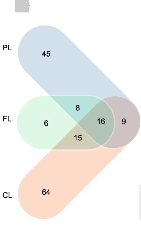 Open access visualization of Venn Diagram, Protein Identification, Prismatic Layer, Foliated Layer, Chalky Layer