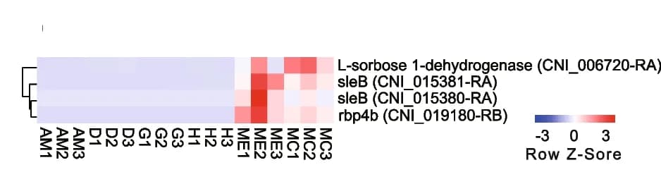 Open access visualization of Heatmap, Clustered, Shell Matrix Proteins, Protein Domains, C. gigas