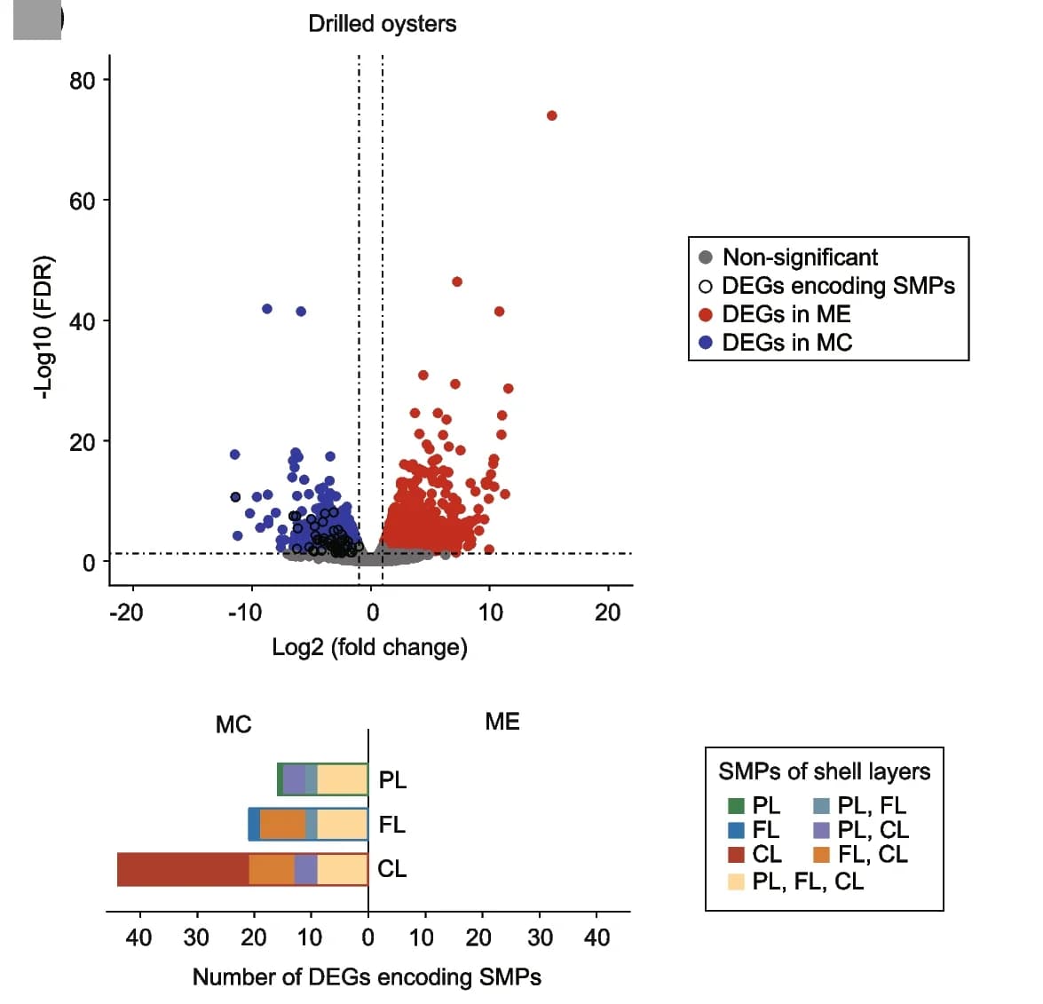 Open access visualization of Volcano Plot, Bar Plot, Oysters