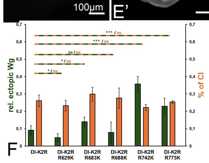 Open access visualization of Bar Plot, Error Bars, Clustered, Re-introduction, Core Ks
