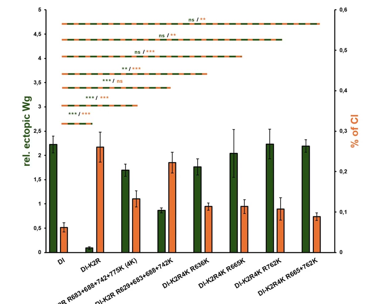 Open access visualization of Bar Plot, Error Bars, Clustered, Dl Variants, Activity