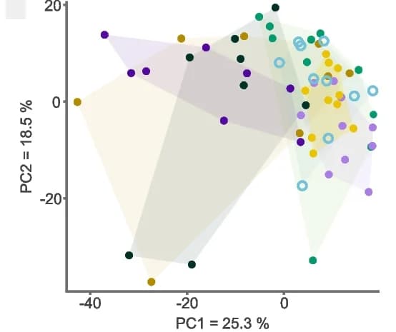 Open access visualization of Scatter Plot, PCA, Principal Component Analysis, Microcolonies, Chronic Treatment