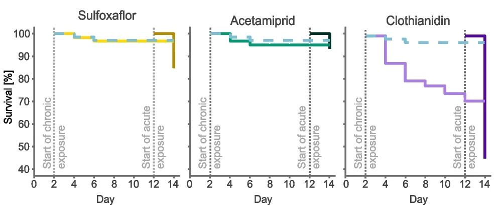 Open access visualization of Line Plot, Line Step, Survival Curve, Survival Rates, Control