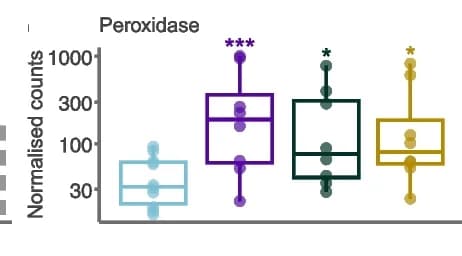 Open access visualization of Box Plot, Scatter Plot, Peroxidase, Upregulated, Acute Treatments