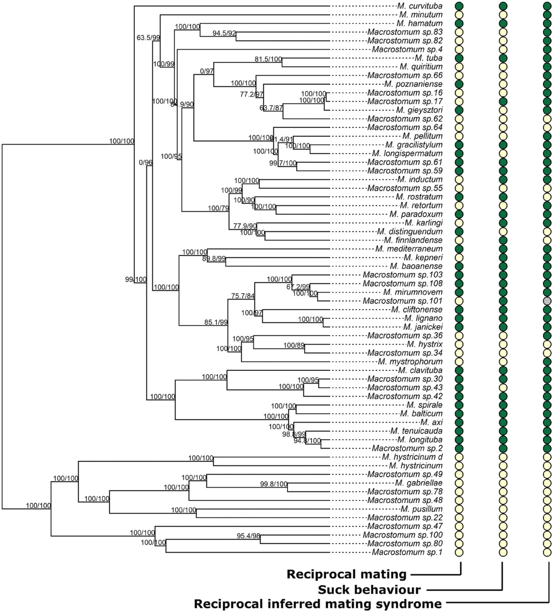 Open access visualization of Network, Pathway, Reciprocal Mating, Suck Behaviour, Reciprocal Inferred Mating Syndrome