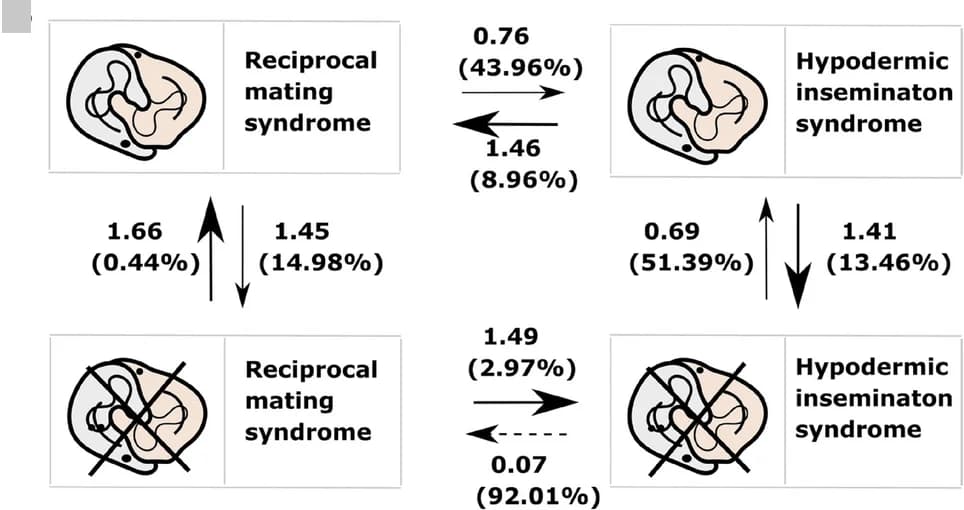 Open access visualization of Workflow, Flowchart, Transition Rates, Z Values, Reciprocal Mating