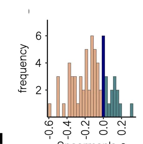 Open access visualization of Histogram, Chromosomes, Recombination Rate, Spearman's Correlations
