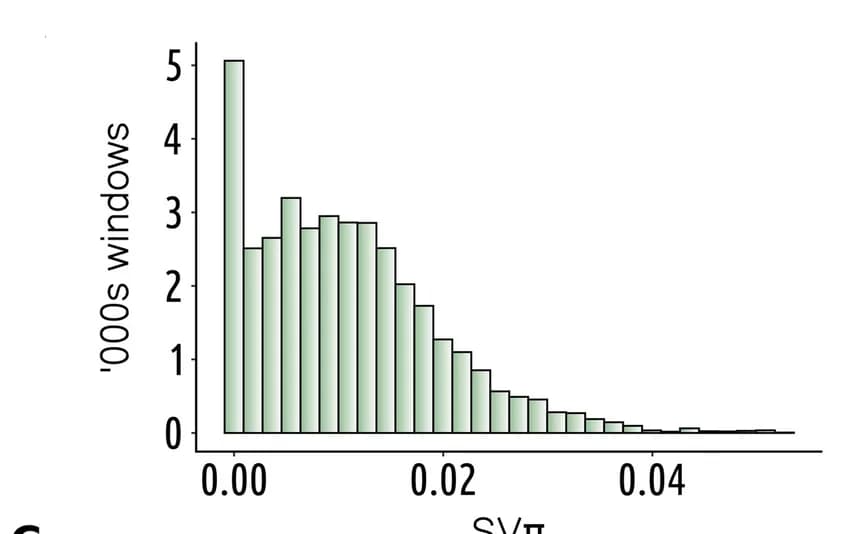 Open access visualization of Histogram, SVπ, Sliding Windows