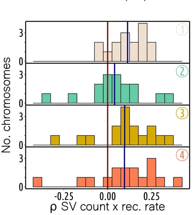 Open access visualization of Histogram, Chromosomes, Structural Variants, Recombination Rate, Sliding Windows