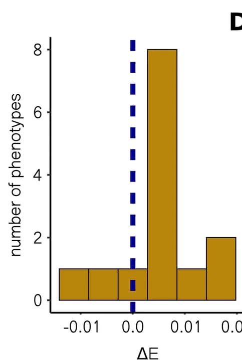 Open access visualization of Histogram, Effect Size, Structural Variants, Life History Traits, Distribution