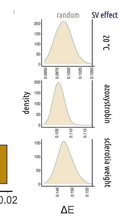 Open access visualization of Density Plot, Bar Plot, Effect Size, Structural Variants, Allele Frequency