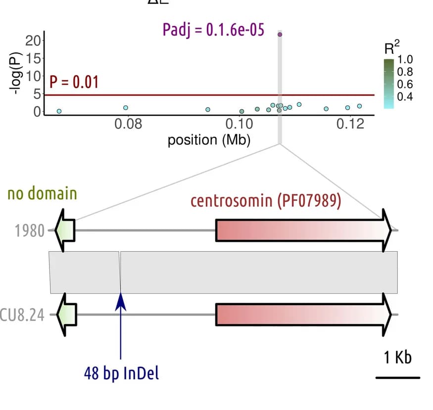 Open access visualization of Manhattan Plot, Illustration, Quantitative Trait Locus, Azoxystrobin, Linkage Disequilibrium