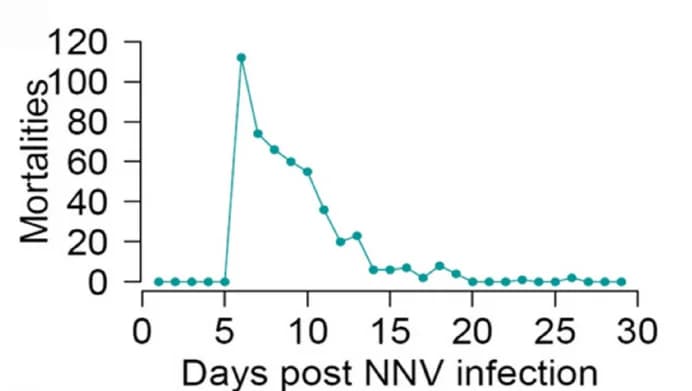 Open access visualization of Line Plot, Mortalities, Challenge Experiment