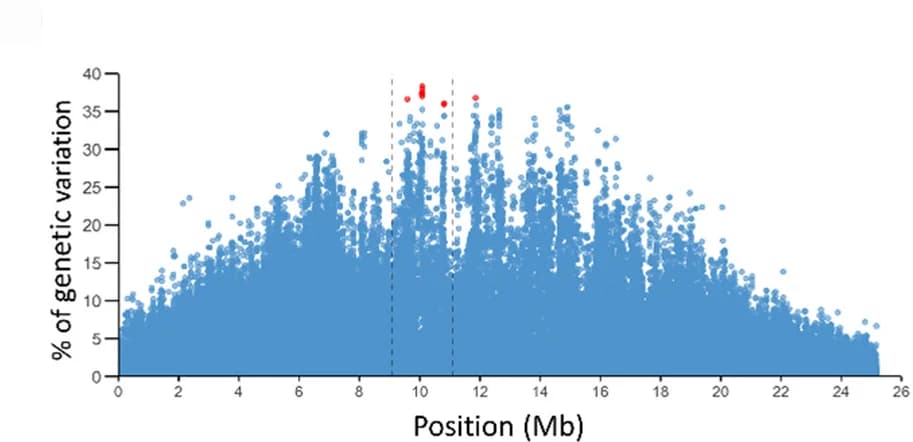Open access visualization of Scatter Plot, Manhattan Plot, Genetic Variance, Chromosome 3, Variants