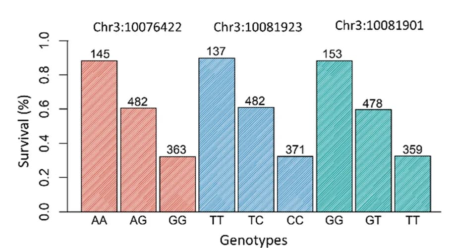Open access visualization of Bar Plot, Barplot, Survival Rate, Genotype, SNPs