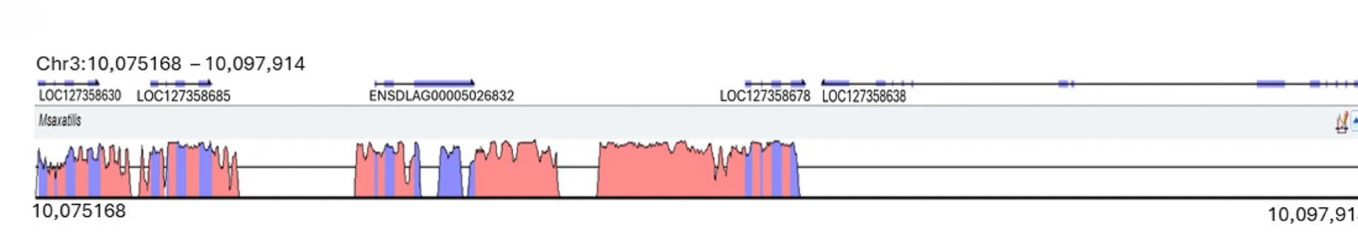 Open access visualization of Line Plot, QTL Region, VNN Resistance, European Sea Bass, M. saxatilis