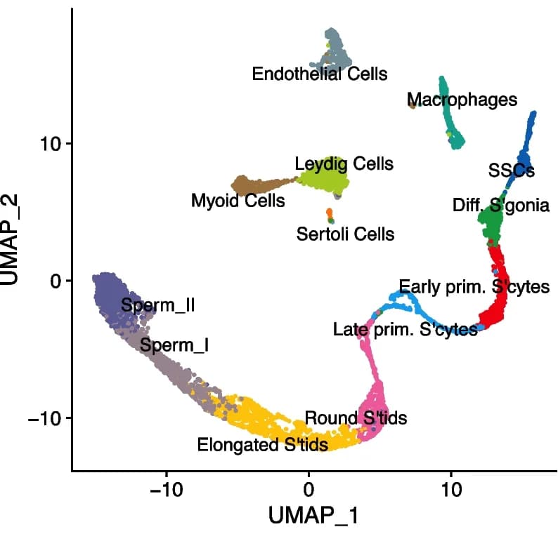 Open access visualization of UMAP, scRNA-seq, Cell State Annotations, Marker Gene Expression