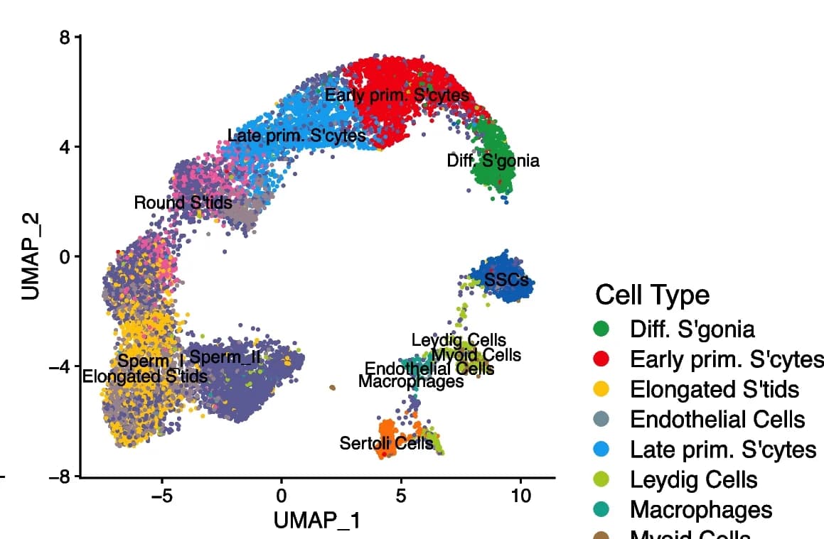Open access visualization of Scatter Plot, UMAP, scATAC-seq, Cell State Annotations